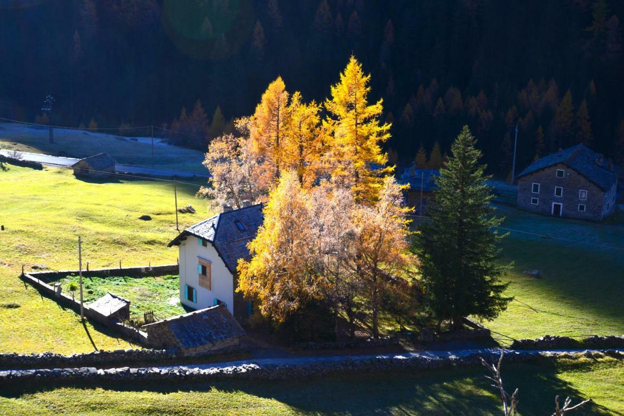 Il Cortese Chiareggio Kültér fotó